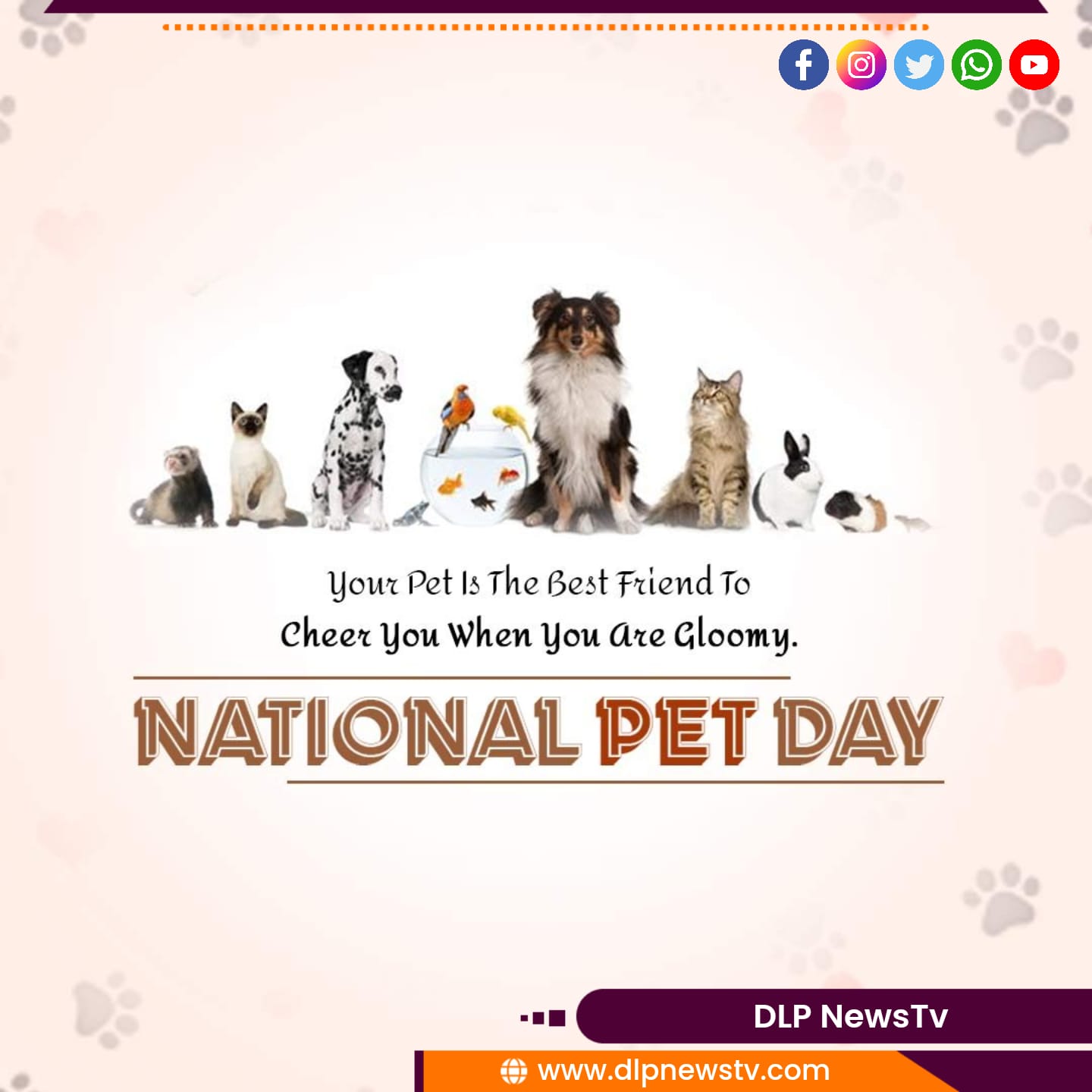 National Pet Day राष्ट्रीय पालतू दिवस