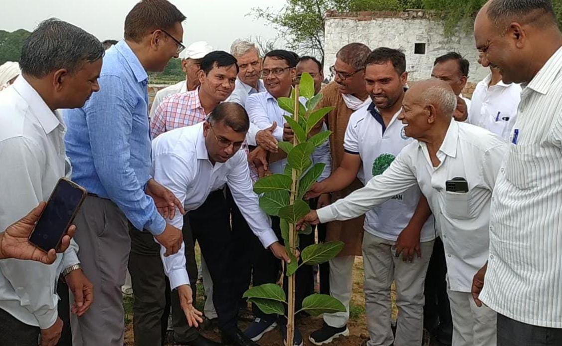 गुरु पूर्णिमा के दिन काजीपुरा बौद्ध विहार मे किया गया वृक्षारोपण