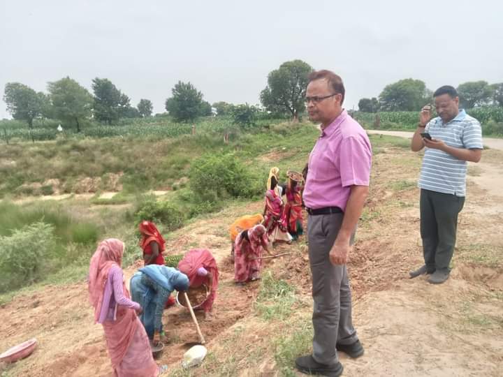 जिला कलक्टर ने किया मनरेगा कार्यों का निरीक्षण