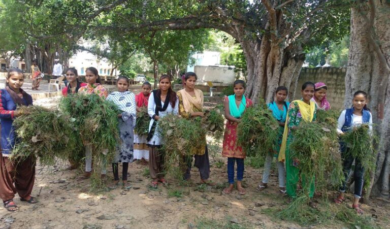 एक तारीख, एक घंटा, एक साथ कार्यक्रम में विपरपुर के विद्यार्थियों ने किया श्रमदान