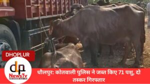 _DLP News TV DHolpur Ka Top News Channel (2)