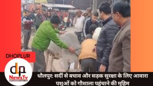 धौलपुर में आवारा पशुओं को गौशाला में भेजने की पहल: सर्दी और दुर्घटनाओं से बचाव के लिए कलेक्टर की नई मुहिम