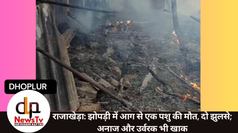 राजाखेड़ा: झोपड़ी में आग से एक पशु की मौत, दो झुलसे; अनाज और उर्वरक भी खाक