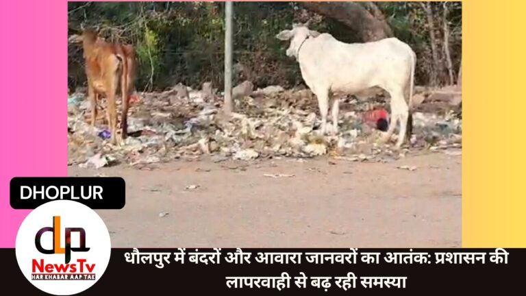 धौलपुर में बंदरों और आवारा जानवरों का आतंक: प्रशासन की लापरवाही से बढ़ रही समस्या