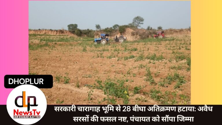 सरकारी चारागाह भूमि से 28 बीघा अतिक्रमण हटाया: अवैध सरसों की फसल नष्ट, पंचायत को सौंपा जिम्मा