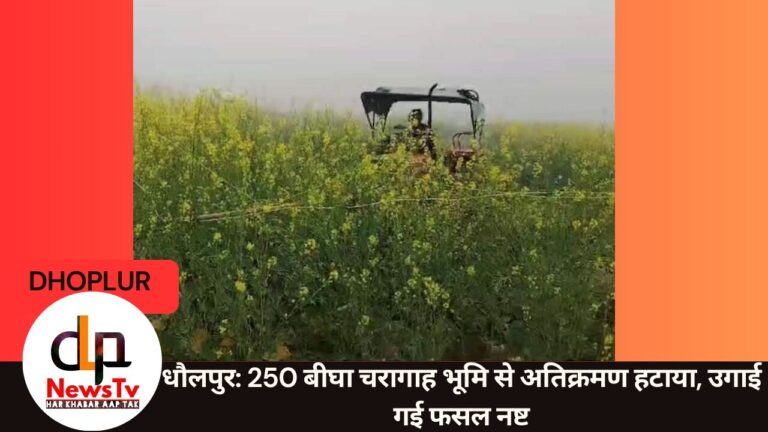 धौलपुर: 250 बीघा चरागाह भूमि से अतिक्रमण हटाया, उगाई गई फसल नष्ट