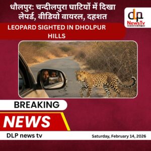 धौलपुर के बसई डांग क्षेत्र में पैंथर दिखने से हड़कंप। कार सवारों ने बनाया वीडियो। ग्रामीणों ने वन विभाग से गश्त बढ़ाने की मांग की।